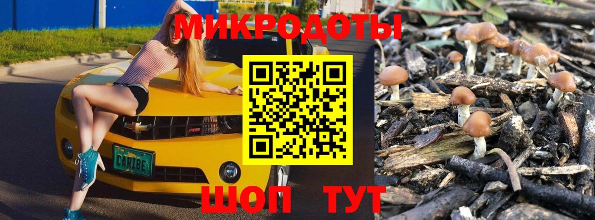 Псилоцибиновые грибы прущие грибы  Псилоцибиновые грибы Psilocybe  Сибай  Вход с VPN 